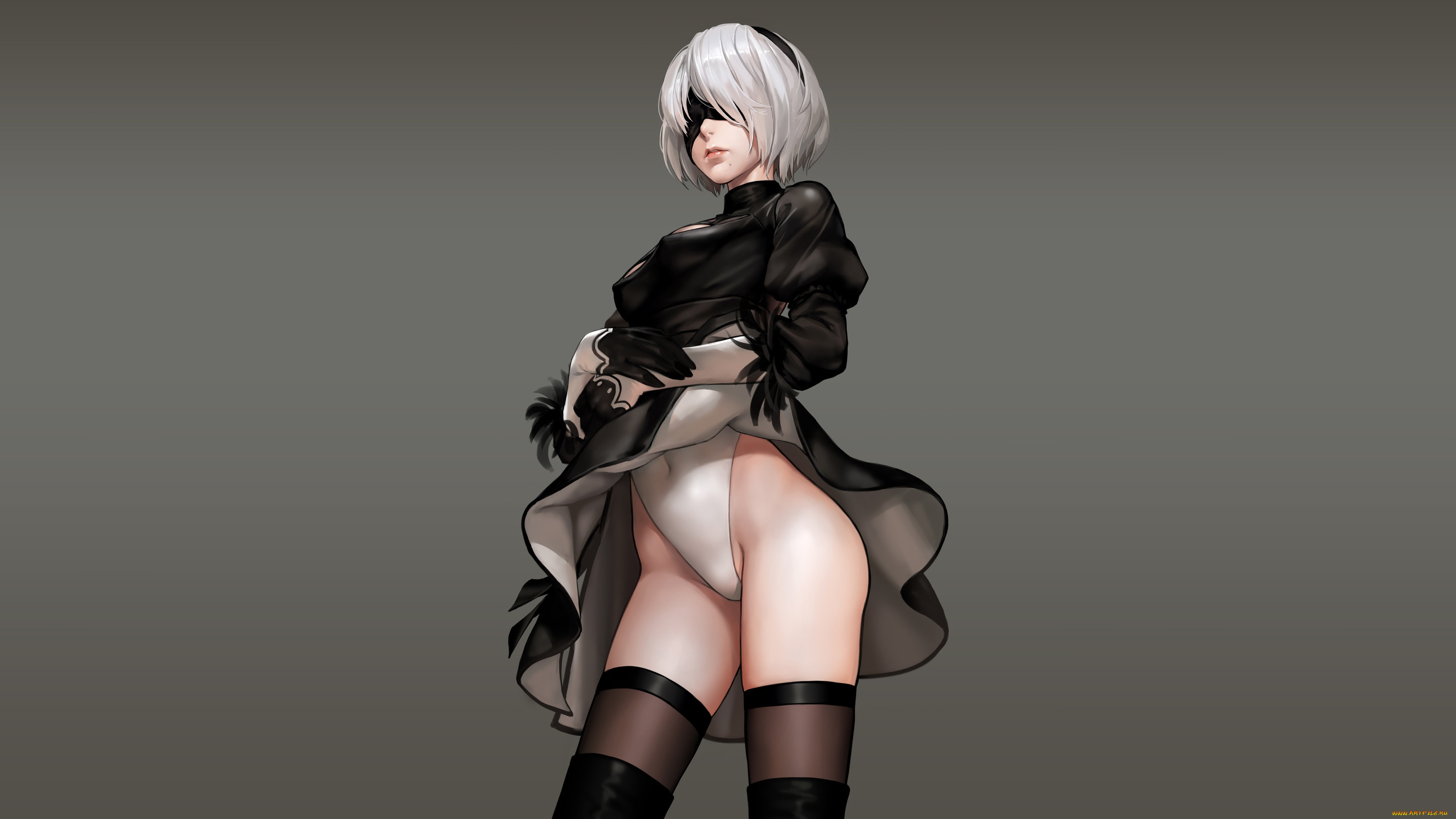 , nier,  automata
